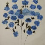 LIBRAIRIE FARFOUILLE – PLUMYA BLOSSOMYA