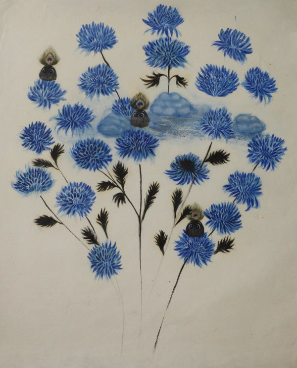 LIBRAIRIE FARFOUILLE – PLUMYA BLOSSOMYA